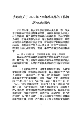 乡政府关于2025年上半年移风易俗工作情况的总结报告