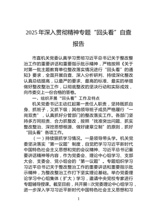 2025年深入贯彻精神专题“回头看”自查报告