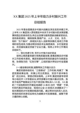 XX集团2025年上半年助力乡村振兴工作总结报告