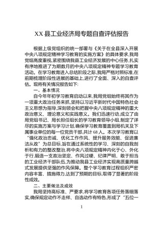 XX县工业经济局专题自查评估报告