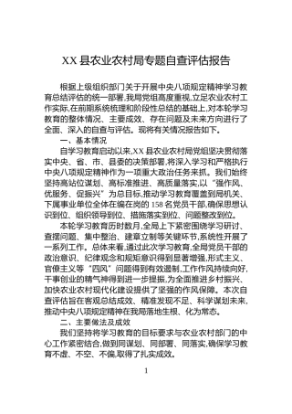 XX县农业农村局专题自查评估报告