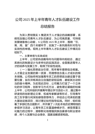 公司2025年上半年青年人才队伍建设工作总结报告
