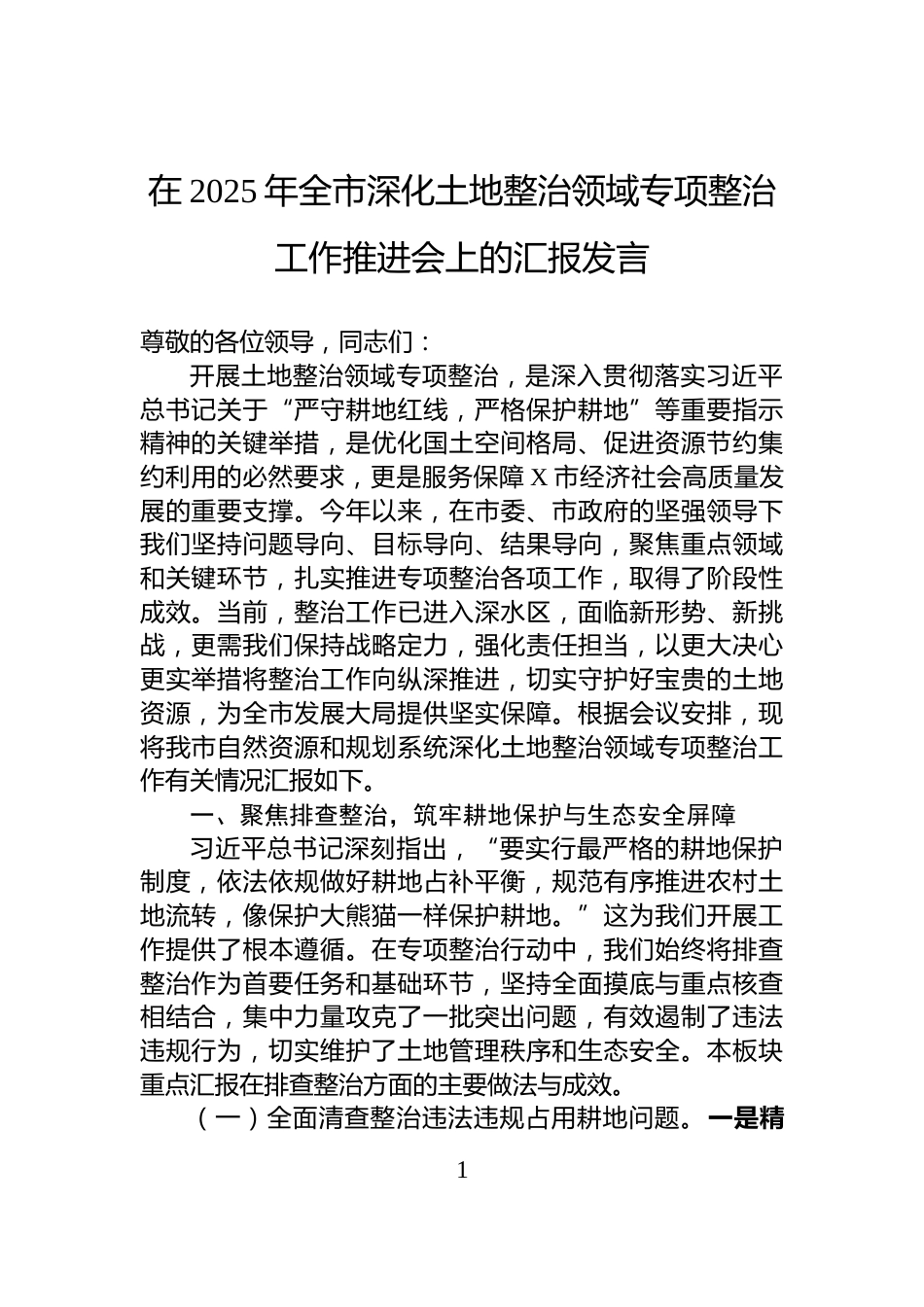 在2025年全市深化土地整治领域专项整治工作推进会上的汇报发言_第1页