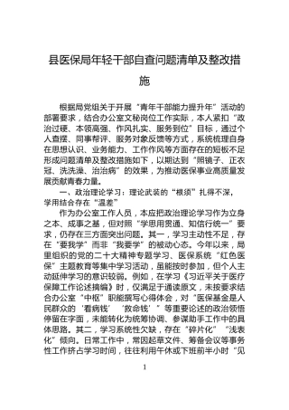 县医保局年轻干部自查问题清单及整改措施