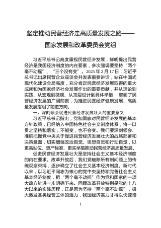 坚定推动民营经济走高质量发展之路——国家发展和改革委员会党组