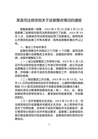 某县司法局党组关于巡察整改情况的通报