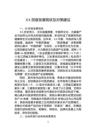 XX民宿发展现状及对策建议