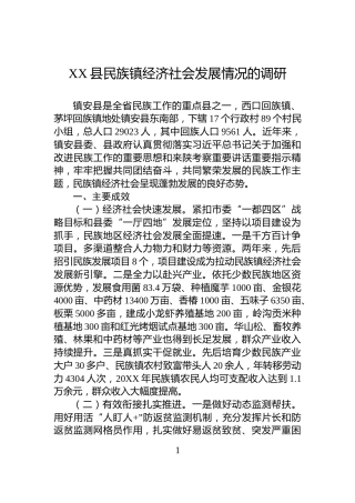 XX县民族镇经济社会发展情况的调研