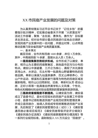 XX市民宿产业发展的问题及对策