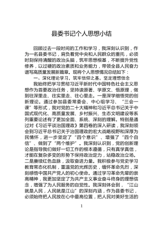 县委书记个人思想小结