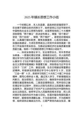 2025年镇长思想工作小结