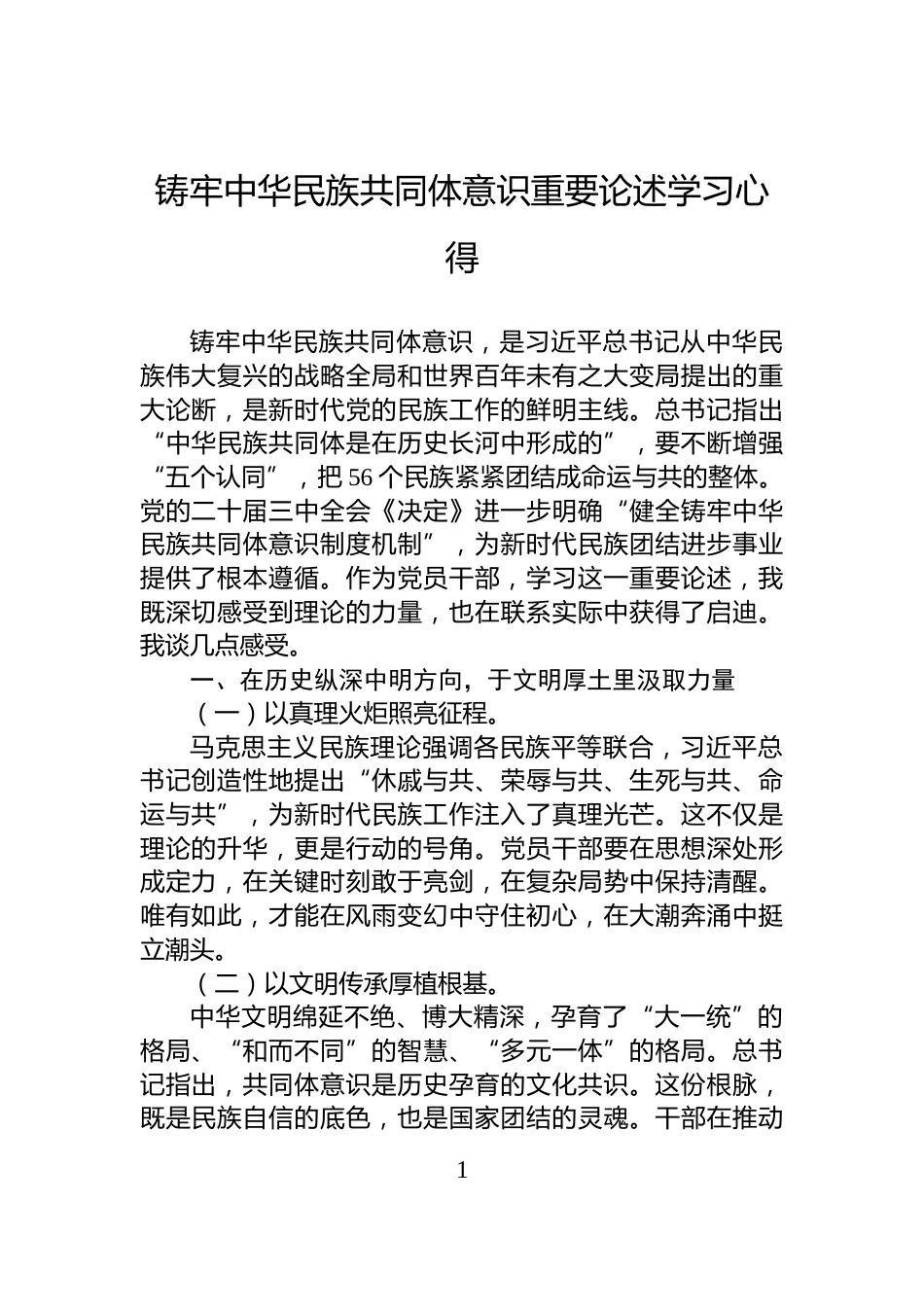 铸牢中华民族共同体意识重要论述学习心得_第1页