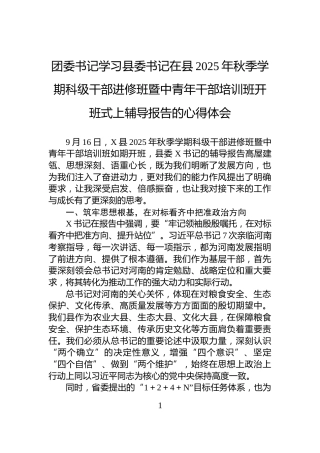 团委书记学习县委书记在县2025年秋季学期科级干部进修班暨中青年干部培训班开班式上辅导报告的心得体会