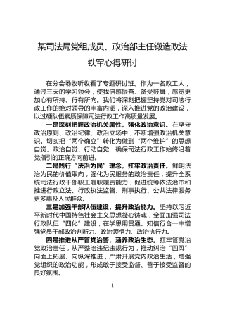 某司法局党组成员、政治部主任锻造政法铁军心得研讨