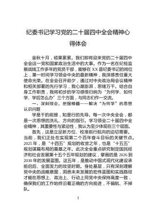 纪委书记学习党的二十届四中全会精神心得体会