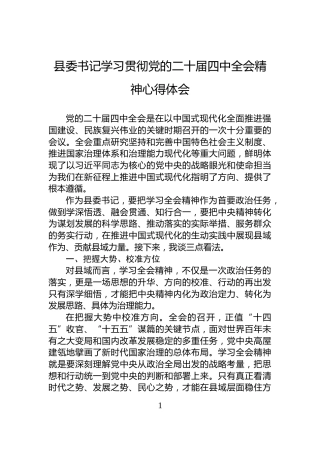 县委书记学习贯彻党的二十届四中全会精神心得体会