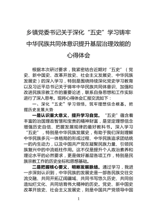 乡镇党委书记关于深化“五史”学习铸牢中华民族共同体意识提升基层治理效能的心得体会