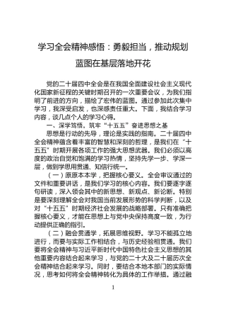 学习全会精神感悟：勇毅担当，推动规划蓝图在基层落地开花