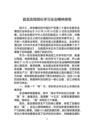 县发改局局长学习全会精神感悟
