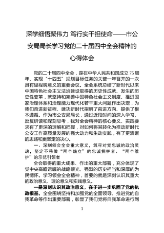 深学细悟聚伟力+笃行实干担使命——市公安局局长学习党的二十届四中全会精神的心得体会