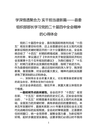 学深悟透聚合力+实干担当谱新篇——县委组织部部长学习党的二十届四中全会精神的心得体会
