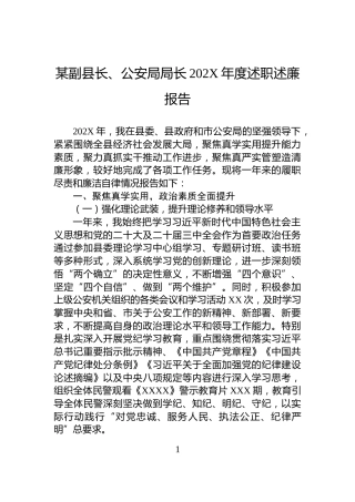 某副县长、公安局局长202X年度述职述廉报告