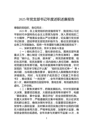 2025年党支部书记年度述职述廉报告