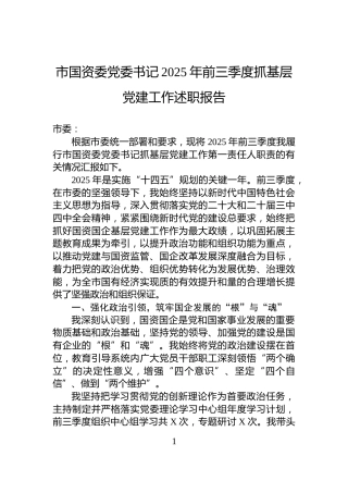 市国资委党委书记2025年前三季度抓基层党建工作述职报告