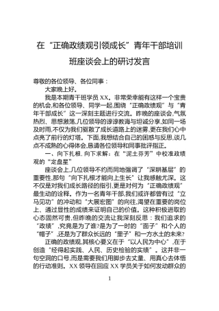 在“正确政绩观引领成长”青年干部培训班座谈会上的研讨发言