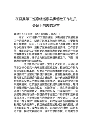 在县委第二巡察组巡察县供销社工作动员会议上的表态发言