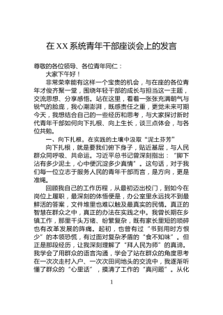 在XX系统青年干部座谈会上的发言