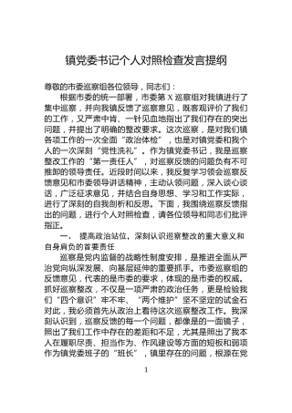 镇党委书记个人对照检查发言提纲