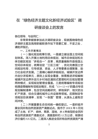 在“绿色经济主题文化新经济试验区”调研座谈会上的发言