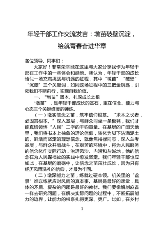 年轻干部工作交流发言：墩苗破壁沉淀，绘就青春奋进华章