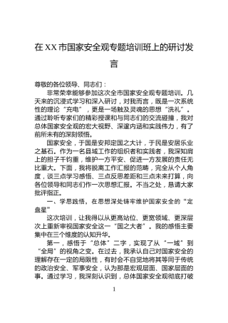 在XX市国家安全观专题培训班上的研讨发言