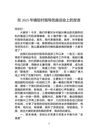 在2025年镇驻村指导员座谈会上的发言