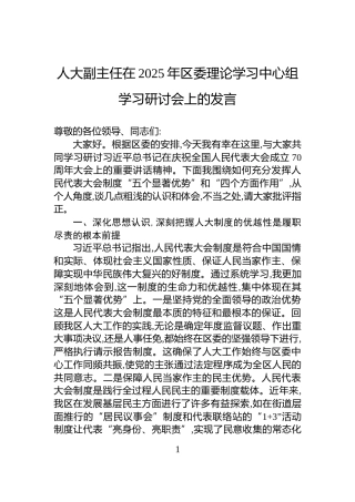 人大副主任在2025年区委理论学习中心组学习研讨会上的发言