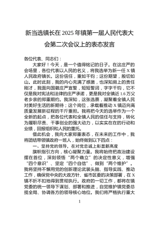 新当选镇长在2025年镇第一届人民代表大会第二次会议上的表态发言