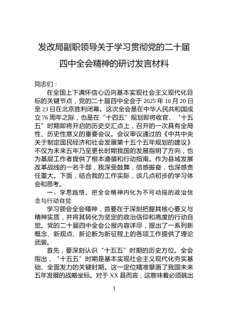 发改局副职领导关于学习贯彻党的二十届四中全会精神的研讨发言材料