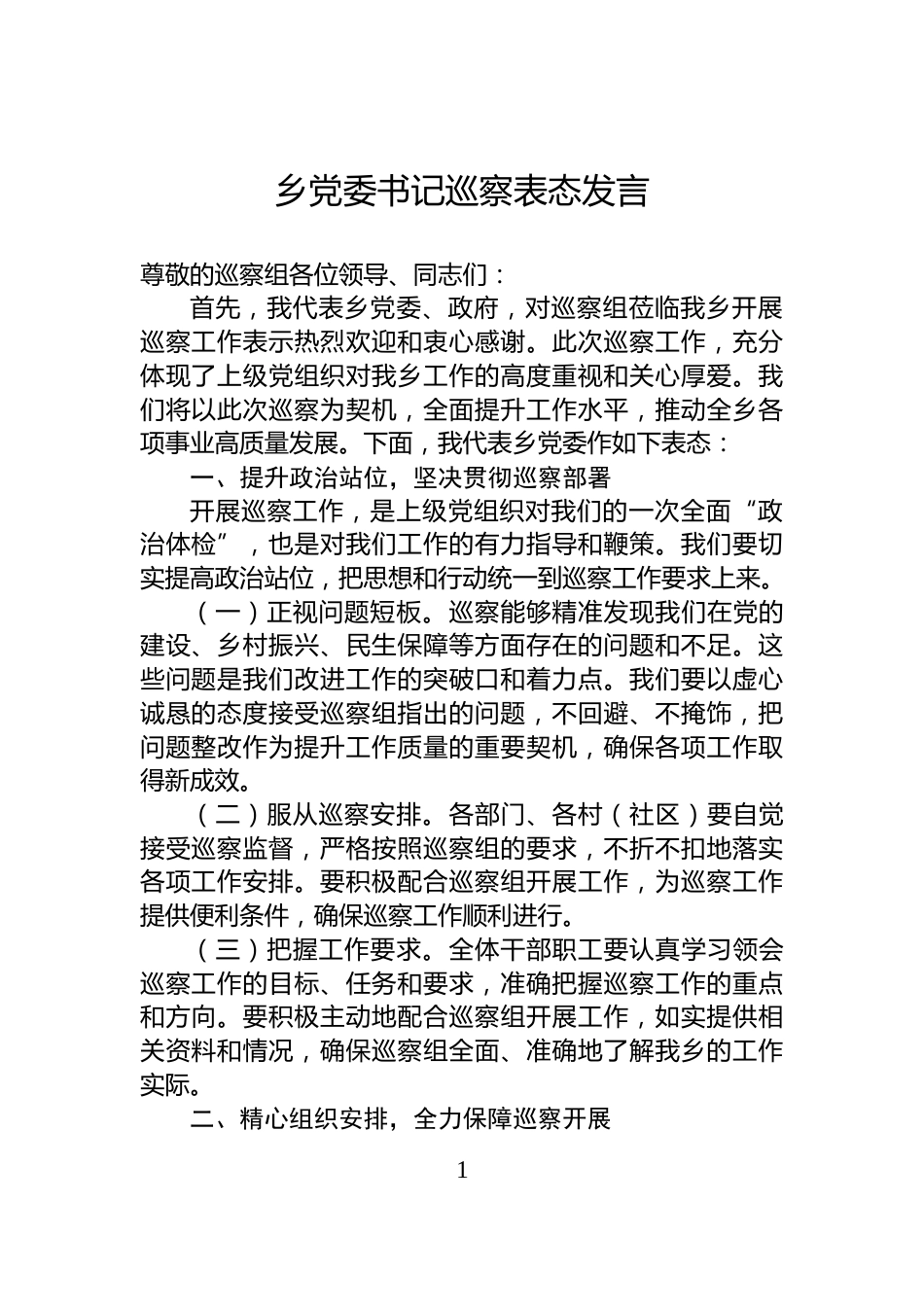 乡党委书记巡察表态发言_第1页