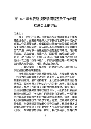 在2025年省委巡视反馈问题整改工作专题推进会上的讲话
