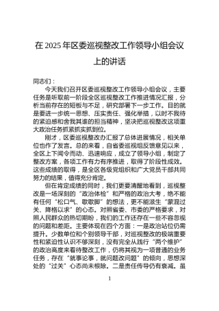 在2025年区委巡视整改工作领导小组会议上的讲话