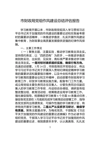 市财政局党组作风建设总结评估报告