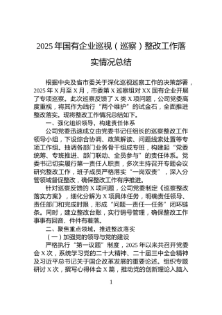 2025年国有企业巡视（巡察）整改工作落实情况总结