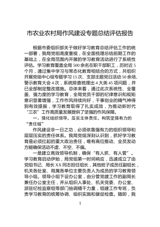 市农业农村局作风建设专题总结评估报告