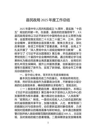 县民政局2025年度工作总结
