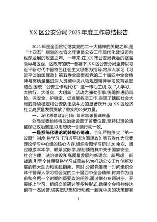 XX区公安分局2025年度工作总结报告