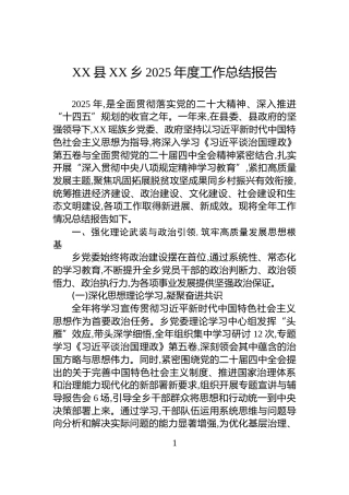 XX县XX乡2025年度工作总结报