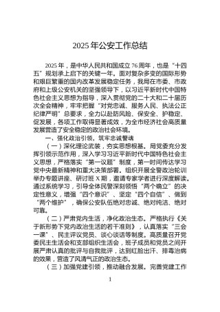 2025年公安工作总结