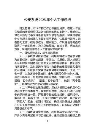 公安系统2025年个人工作总结